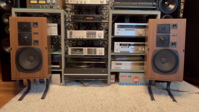 Акустическая система Dual CL-390