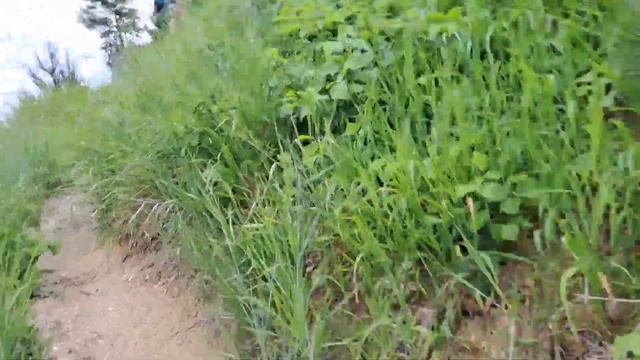 ЄКСТРИМАЛЬНИЙ ПІДЙОМ НА ГОРУ. Лиса Гора Львів. Високий