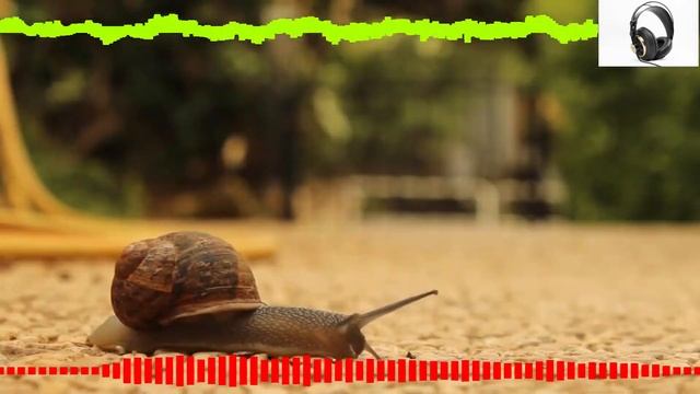 Ivanstation 🎧| Music | Dealer  |Track # 8 | Врубай музон |🎧