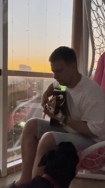 Sting Fragile #fingerstyle #guitar #гитара #игратьнагитаре #music #cover