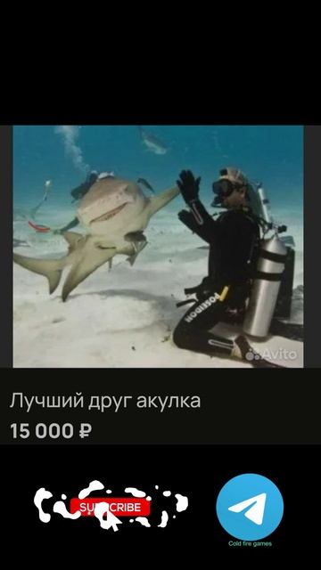 #мемы #приколы #рекомендации#смешныеобъявлениянавито#подпишись#like#смешные #мем#смех #смешные #юмор