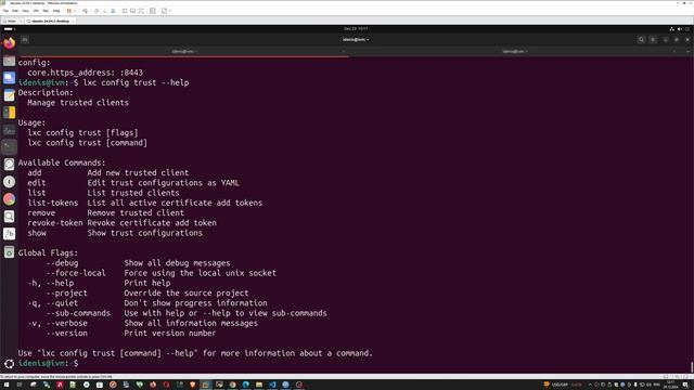 Как получить доступ к веб-интерфейсу LXD | Настройка пол