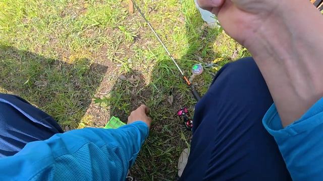 D2888c717f068e97f605ab410547f130