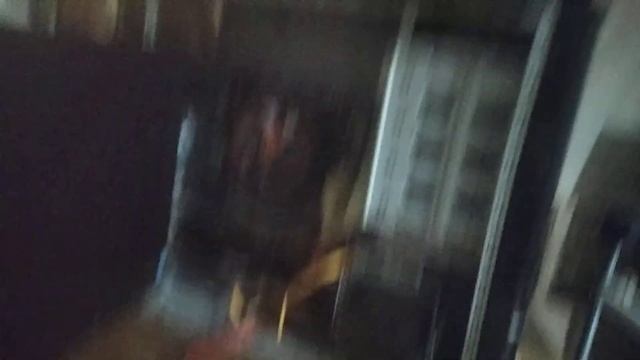 6 января 2025 г.