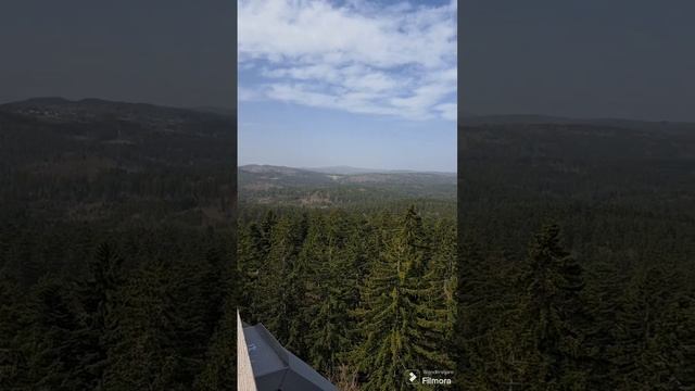 Прогулка по национальному парку. Байрише валд.