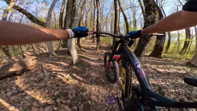 23.4.25 Цветущий сад в горах и цветущая Альпика  Предпочт?