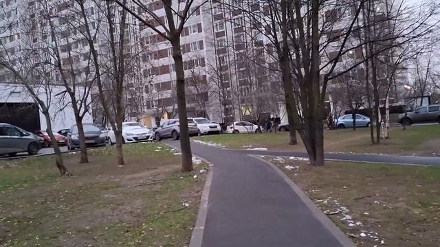 Юридическая консультация. Направление ответчику копи