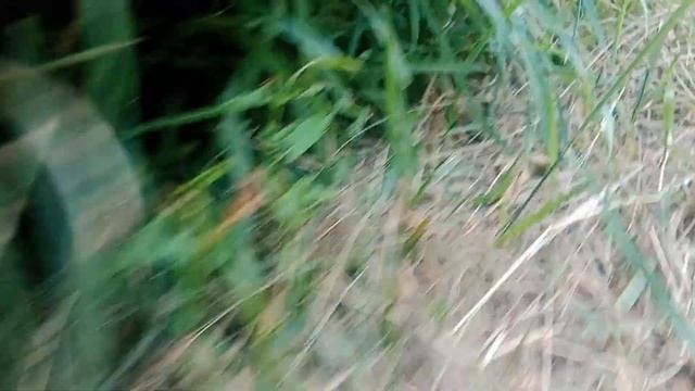 обзор работы двигателя ниссан Альмера н15 GA16DE