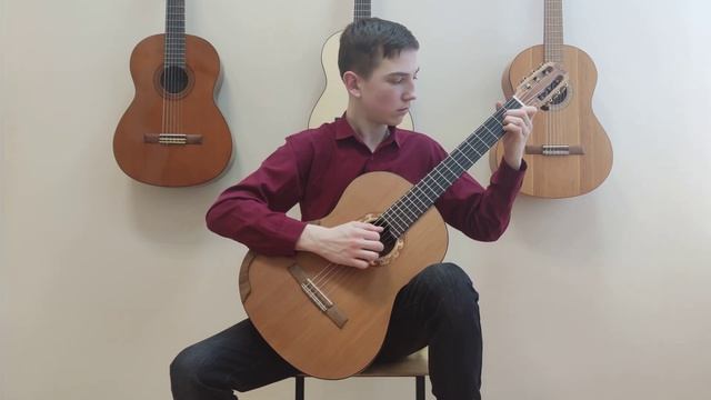 Гайбу Вячеслав - В. Афонский 