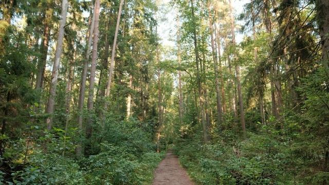 Экологическая тропа Комаровский берег
