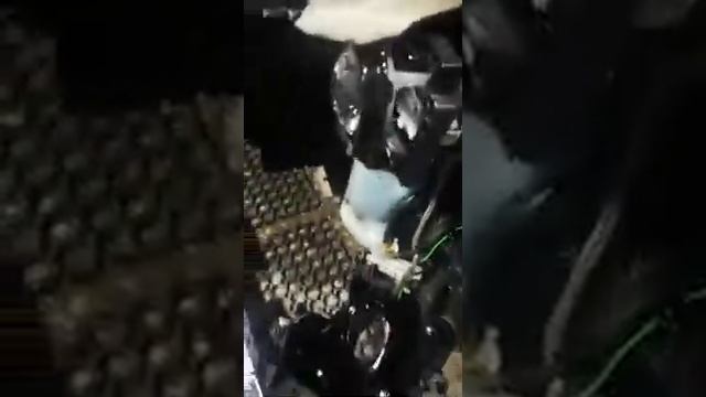 Осмотр повреждений Ящера после снятия бампера, часть 1