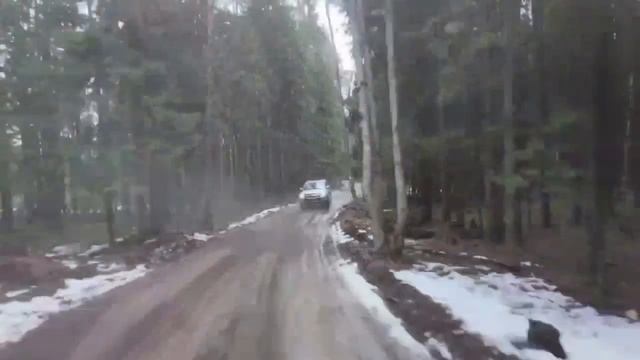 в погоне за Haval H9