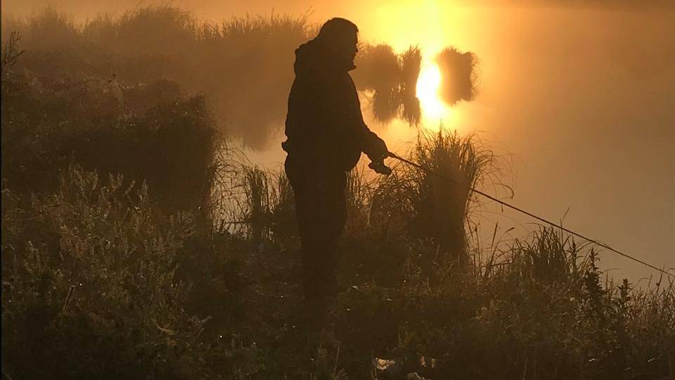 Fisher Online!  Садок ценной рыбы!  Орфа (рыжий язь) р. Дон