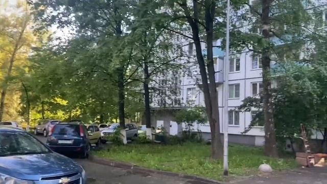 День в Петербурге