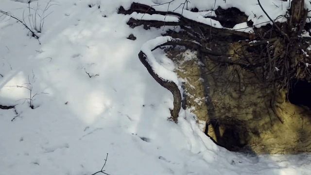 По дороге за хлебушком!Пещера на Кумысной поляне.Расс?