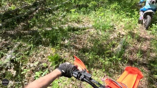 ЭНДУРО ВИШНЁВОГОРСК 01.06.2024 (СТРАДАНИЯ НОВИЧКА)