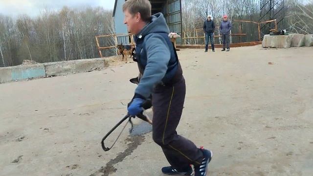 ВЕО Надежда Нижнего Империя, 7 лет. на занятиях