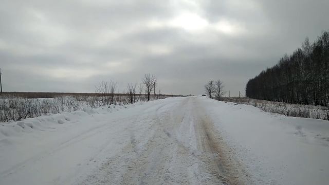 Ёжик валит ОДА 2126