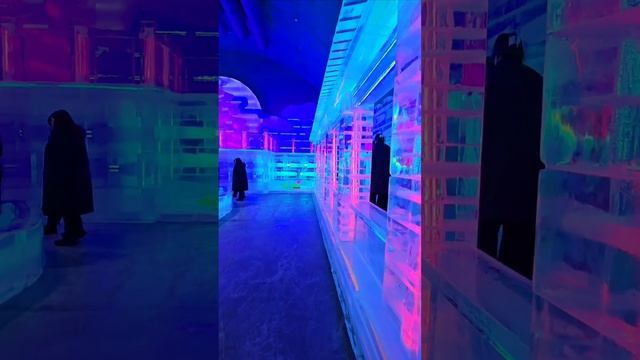 Самая большая в мире крытая площадь ледяных скульптур