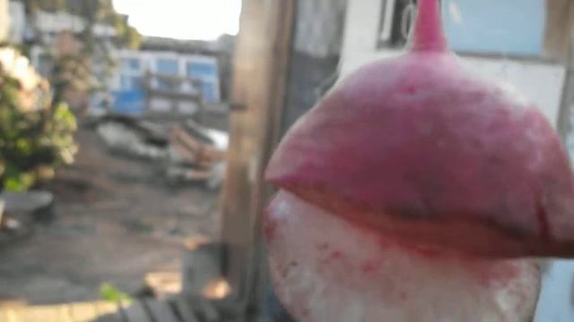 9ee440df20f3320378717b1e70aa0354