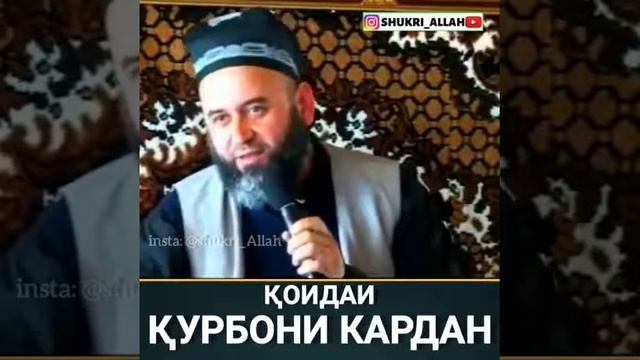Курбони кардан