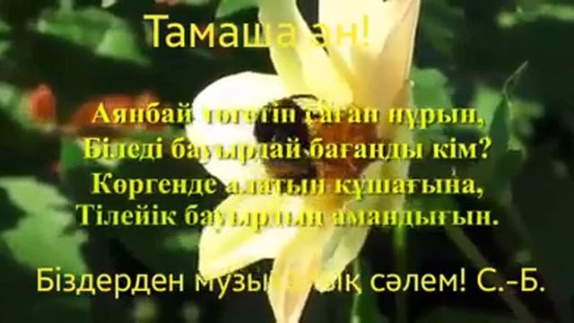 Аман болсын