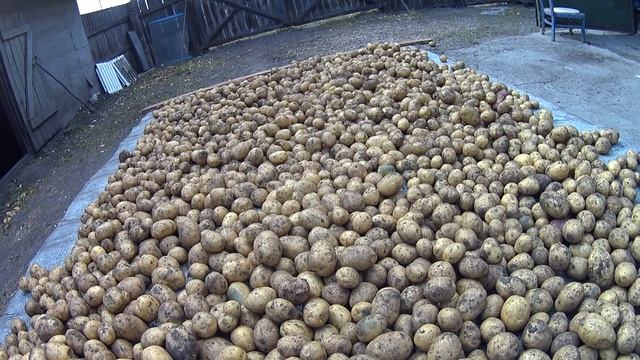 02a09cf5964ca2ed26211e168efd8726