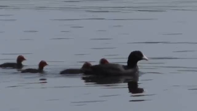 99f4e1ed4f666c489a8516e3f7b88eec