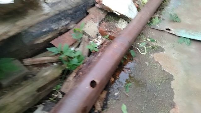 Тяга к жизни. Программа творца в действии.