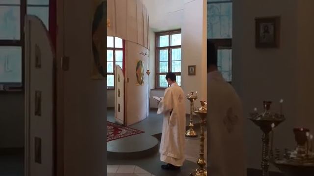 11.06.2019. Память святителя Луки Крымского. Фр.3