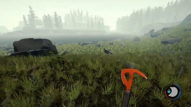 ОТЕЦ ГОДА В FOREST