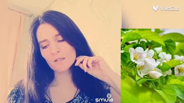 Эти сны 🌸 - Сваты 6 , сериал , вальс