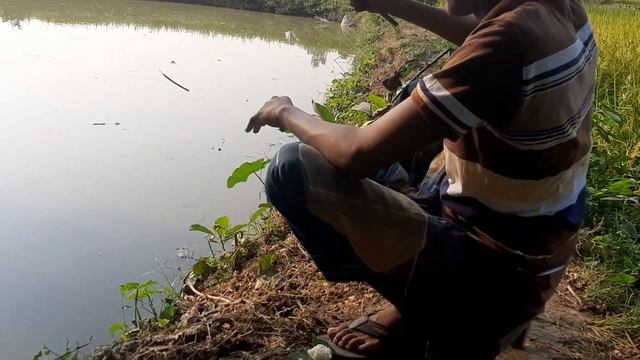 Village Boy Hunting Catfish By Fish Hook ~ Traditional Hook Fishing ~ Рыбалка Видео.