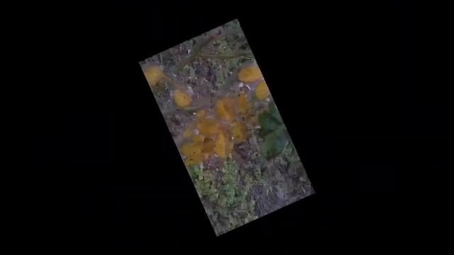 Хрустальный город Керчь!