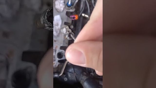 4637a7c2847a2433d1fe9e11317a0b92