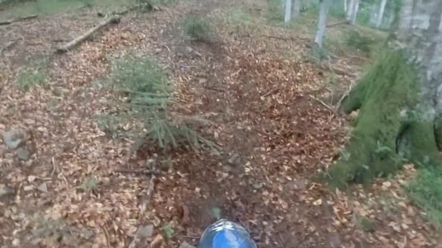 Покатушки на KTM 85 2017 і Kaya 125