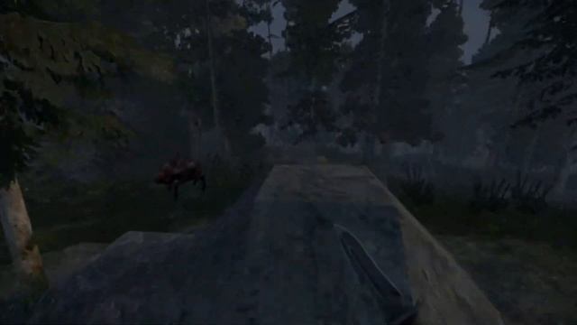 Проблемы нынешнего SCX... | STALCRAFT