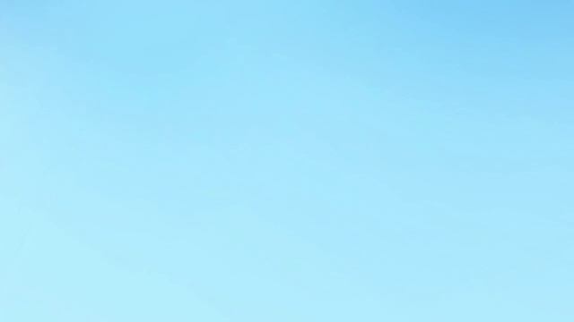 Отчётная презентация по учебной практике 