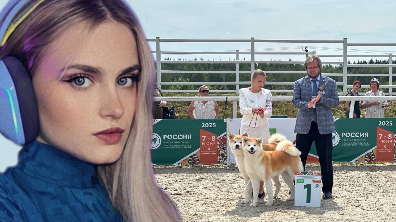 МОДЕСТАЛ ПРО ТРАГЕДИЮ НА ВЫСТАВКЕ СОБАК В МОСКВЕ. ХАЛАТНОСТЬ ОРГАНИЗАТОРОВ