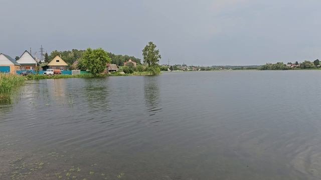 Черемуха на Пруду.