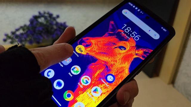 8038f7156c3ffda692e10b08a26e88eb