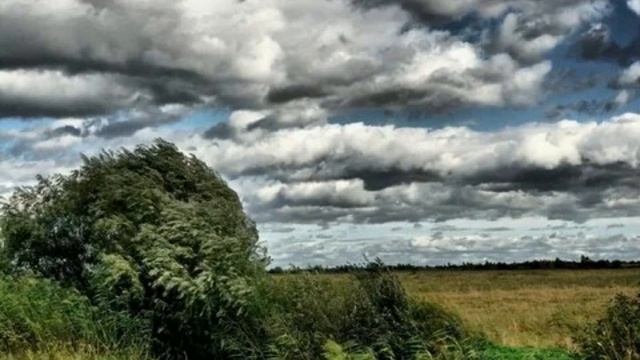 Павел Григорьевич Чесноков - 