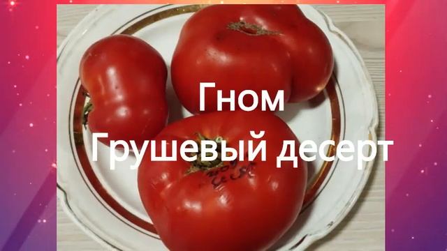 Каталог томатов. Гномы томатные. Часть 1. г. Киров