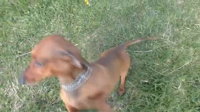 2ab9e4713aa9018276565507b806f2c5