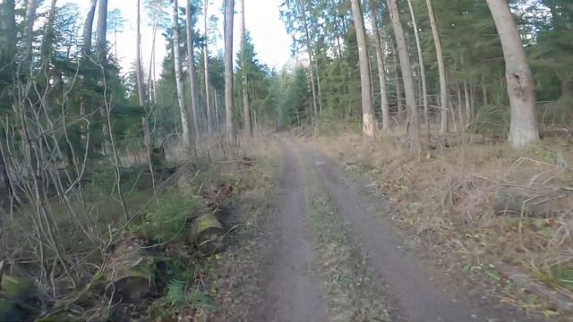 Ногинск - Красноармейск. Осенняя распутица, сингулярн?