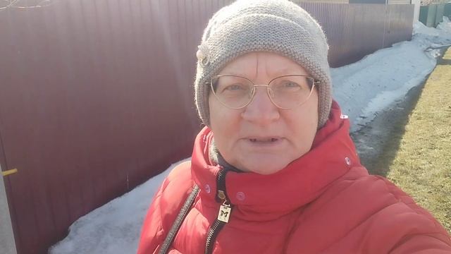 Кот и помидоры|Весенний сад| Традиция