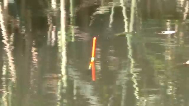 405eb76faec2697e3ccf3618b1ab5f29