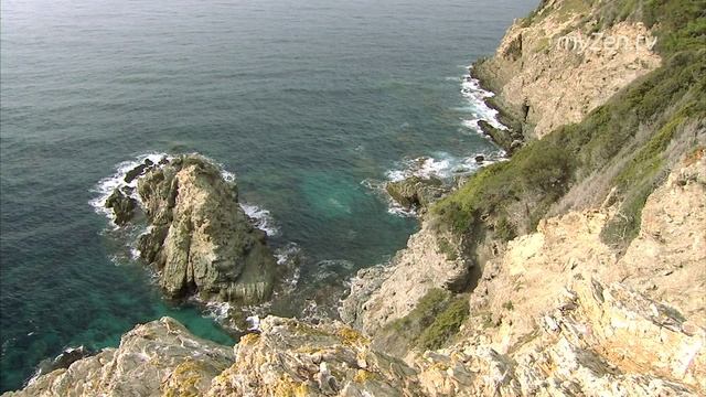 2a8f06f8e0a9a9397bfea2691a743efc