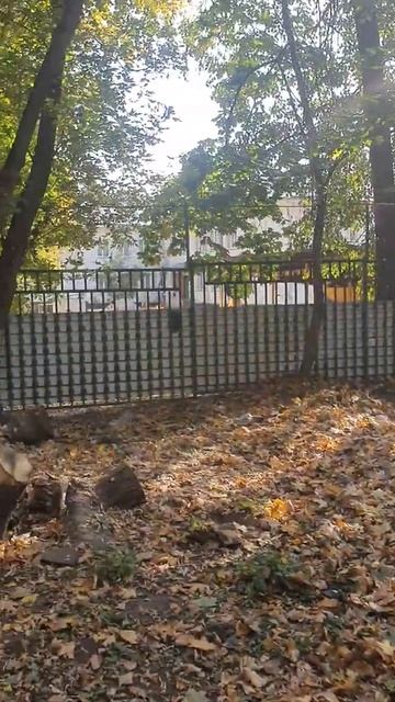 Дворники загоняют пыль и грязь с мусорки в детский сад