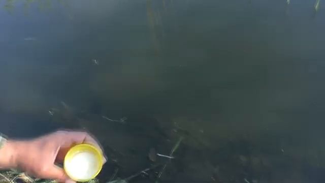 B8dd55d895e8448da3431f8ec439eca7